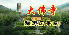 欧美肏逼小视频免费观看中国浙江-新昌大佛寺旅游风景区